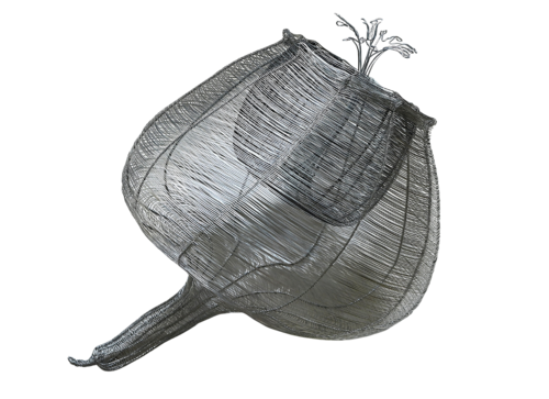 CAPSULA CYATHIFORMIS by Maja Hochuli, Sculpture for Sale on Select