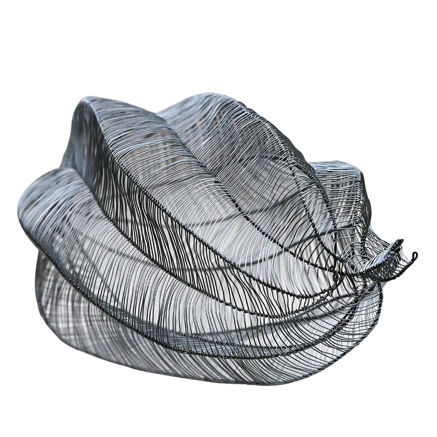 CAPSULA TORTUOSUS Maja Hochuli Sculpture for sale