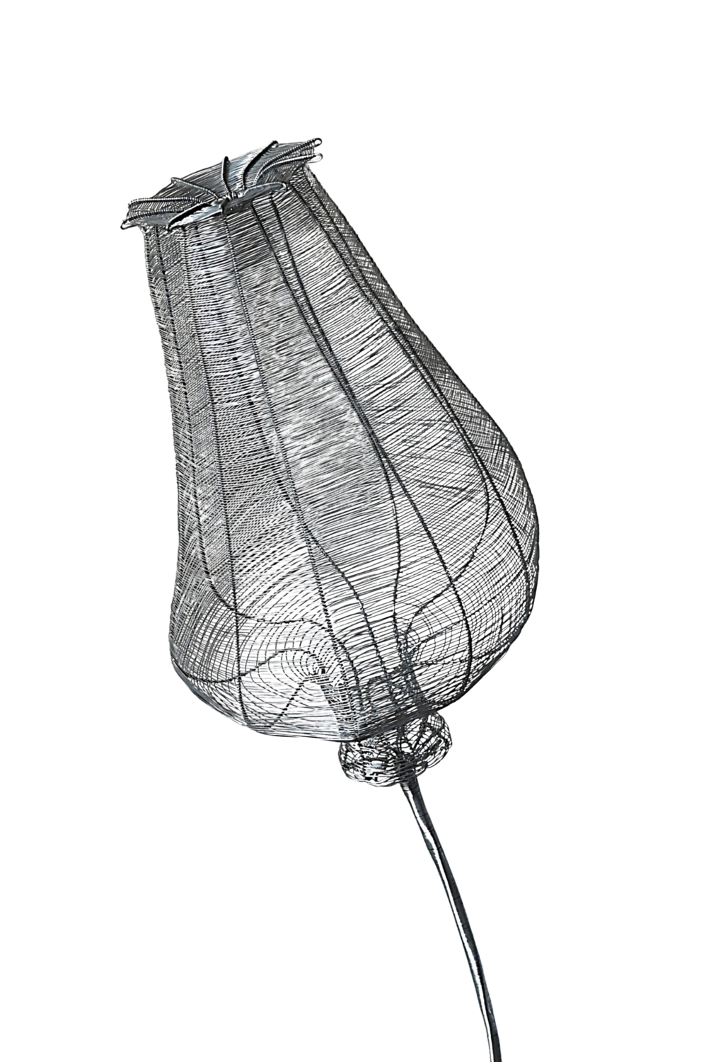 PAPAVER RHOEAS  SOLO TERTIUM Maja Hochuli Sculpture for sale