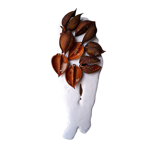 Personnage-Paulownia by yves minssart, Sculpture for Sale on Select