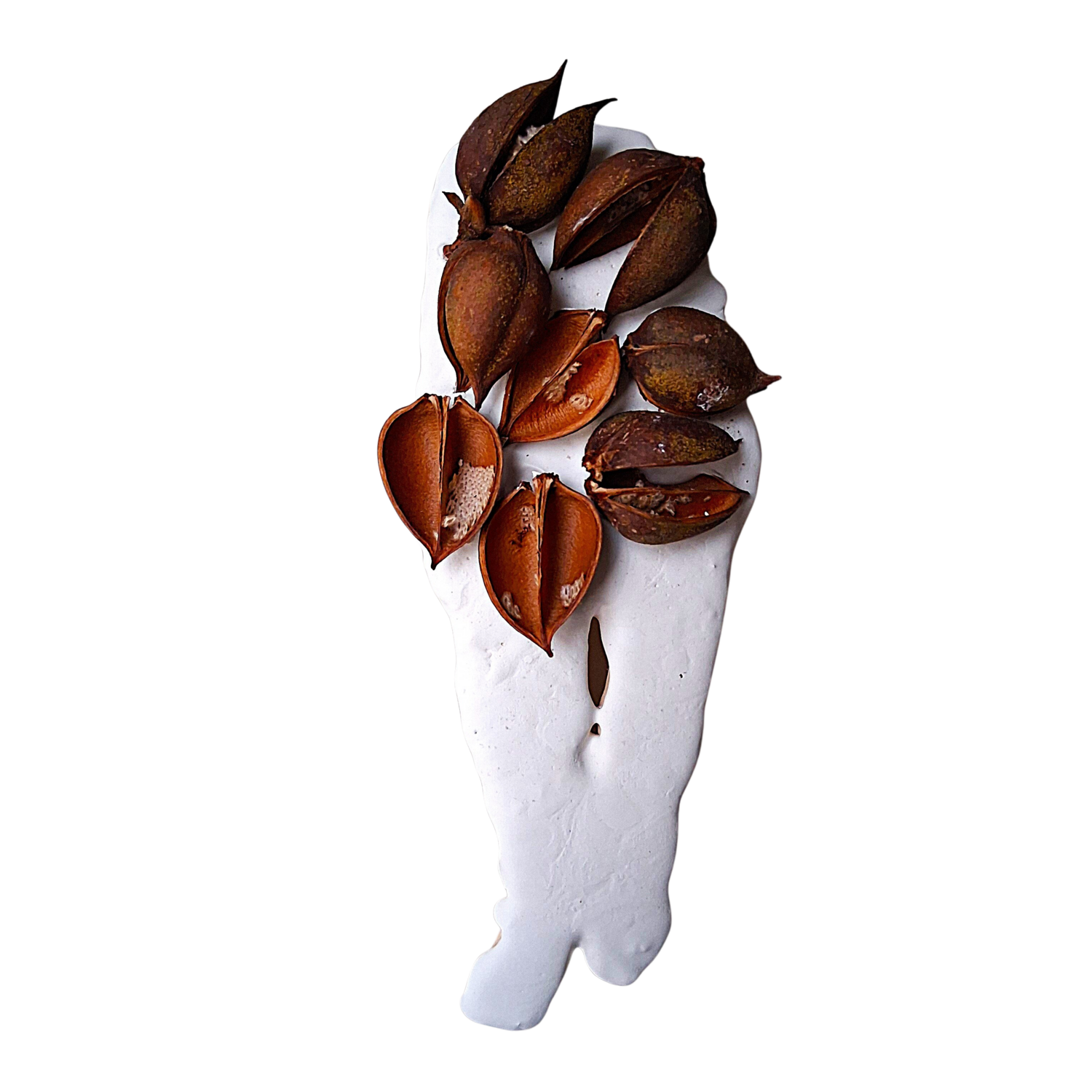 Personnage-Paulownia yves minssart Sculpture for sale