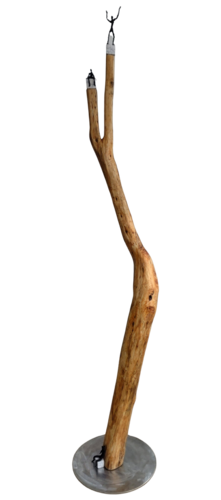 Sieger by Cornelia Seibt, Sculpture for Sale on Select