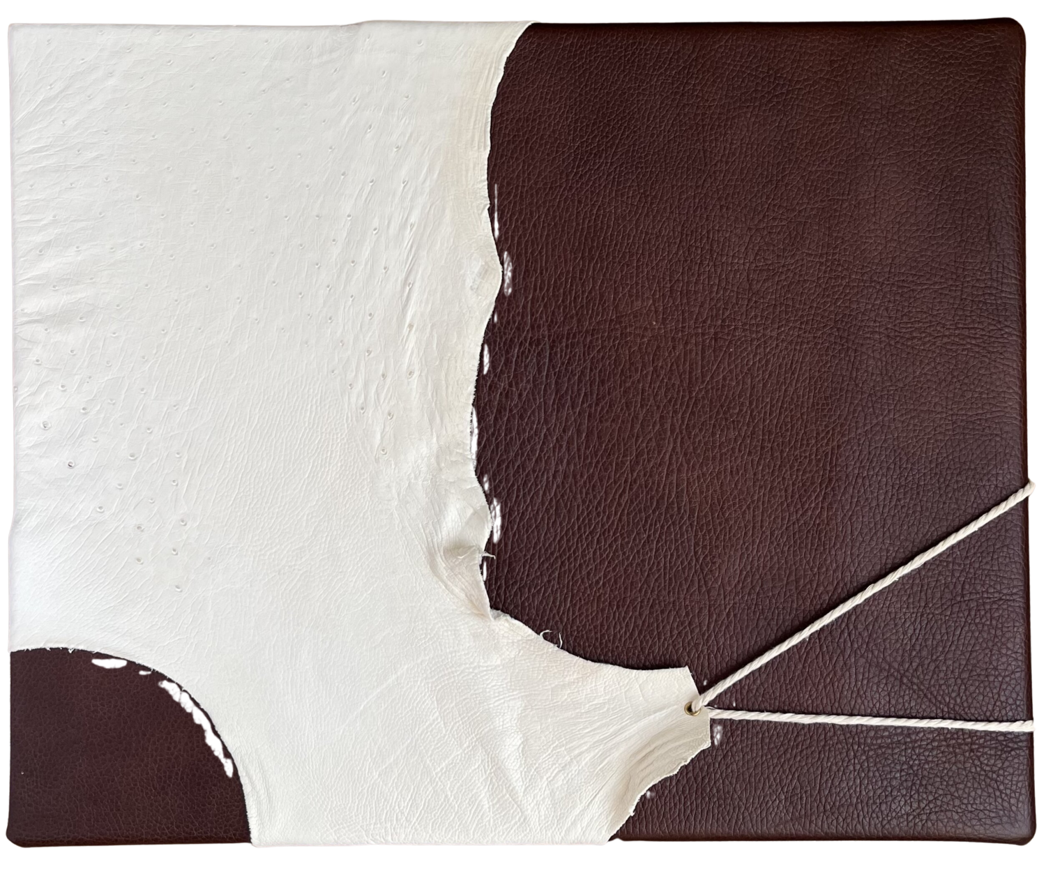 Entrelacement III Aurélie Pellat Sculpture for sale