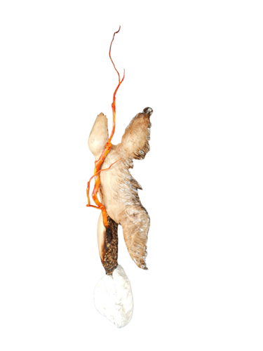 Dal fuoco.... by Luciano De Barba, Sculpture for Sale on Select