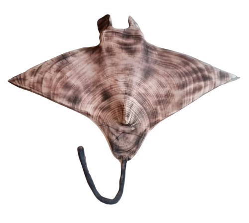 Manta Ray of Light by Stefan From-Møller, Sculpture for Sale on Select