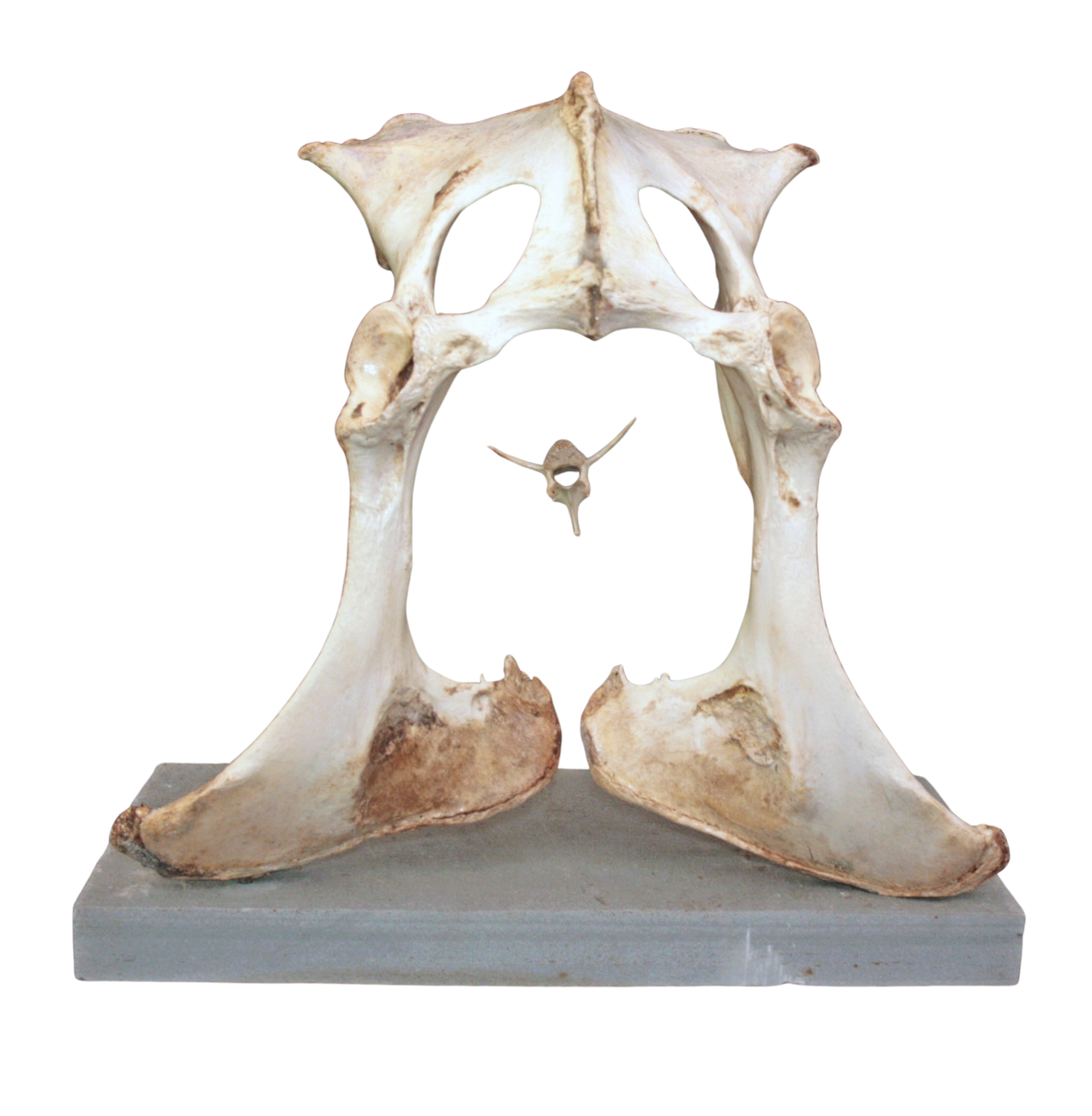 Heaven Gate Denis Yanashot Sculpture for sale