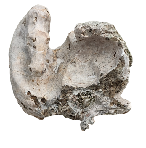 Cavalluccio by Giorgio Mazzurega, Sculpture for Sale on Select