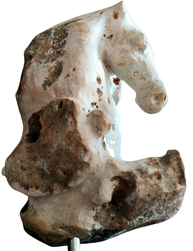 Cavalluccio 3 by Giorgio Mazzurega, Sculpture for Sale on Select