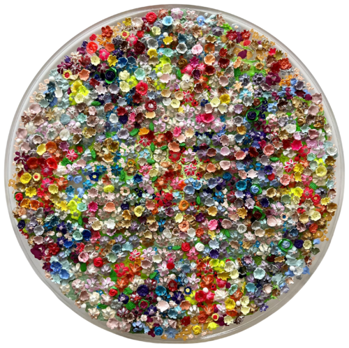 Flowerfield 14 by Silvia Strobos, Sculpture for Sale on Select