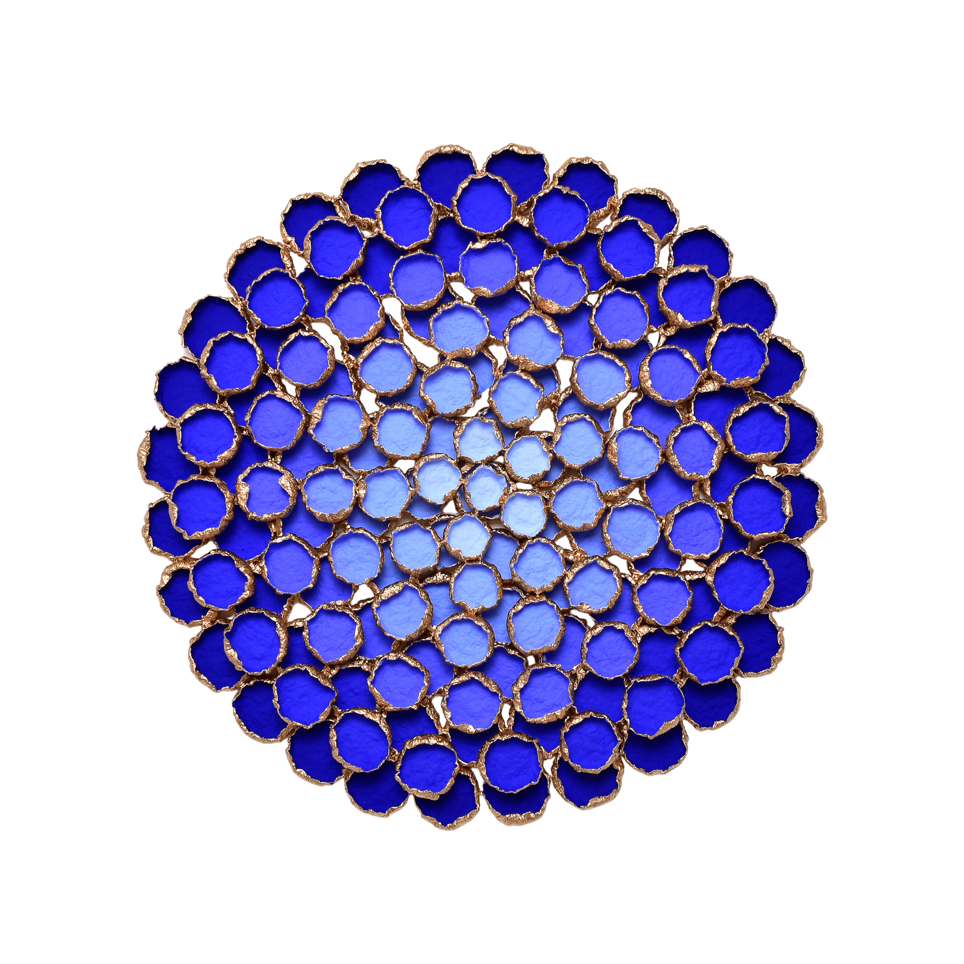 Bloom #28